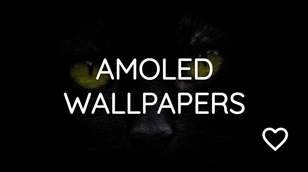 Wallzy Pro