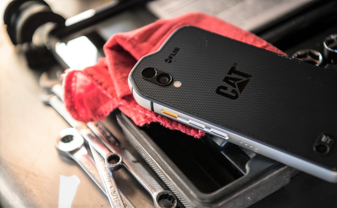 cat S61