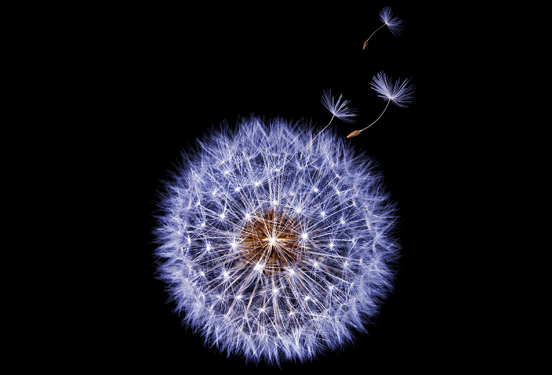 Samsung Galaxy S9